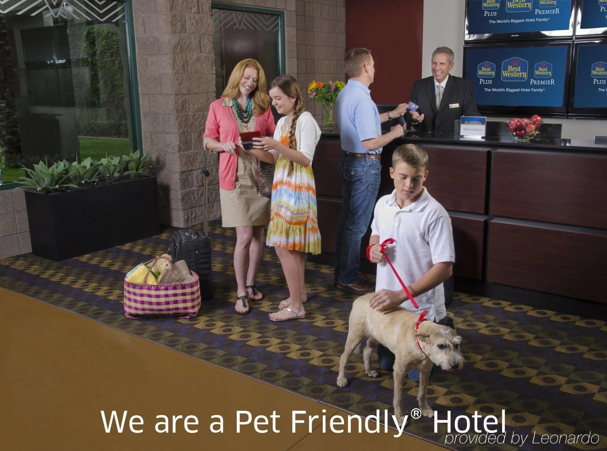 Best Western Plus Finger Lakes Inn & Suites Кортленд Экстерьер фото